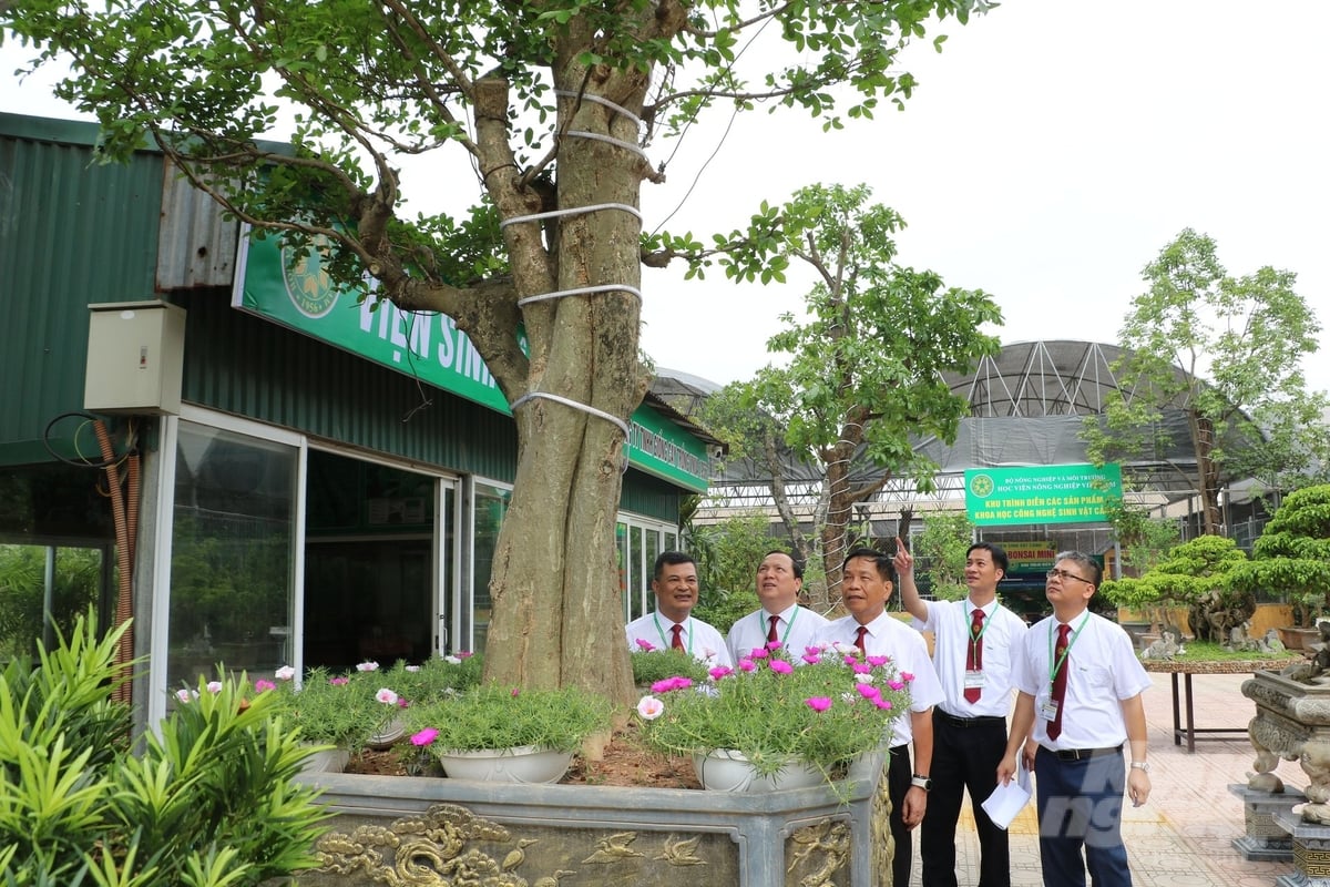 Ngày 8/5, Học viện Nông nghiệp Việt Nam tổ chức lễ ra mắt Viện Sinh vật cảnh. Ảnh: Hưng Giang. Ngày 8/5, Học viện Nông nghiệp Việt Nam tổ chức lễ ra mắt Viện Sinh vật cảnh. Ảnh: Hưng Giang.