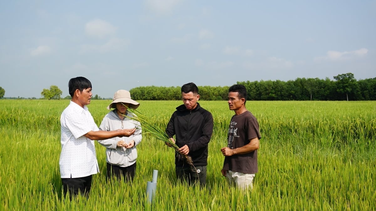 Liên kết '5 nhà' góp phần đưa nông nghiệp Việt Nam tăng trưởng xanh trong kỷ nguyên vươn mình của dân tộc. Ảnh: Trần Trung. Liên kết '5 nhà' góp phần đưa nông nghiệp Việt Nam tăng trưởng xanh trong kỷ nguyên vươn mình của dân tộc. Ảnh: Trần Trung.