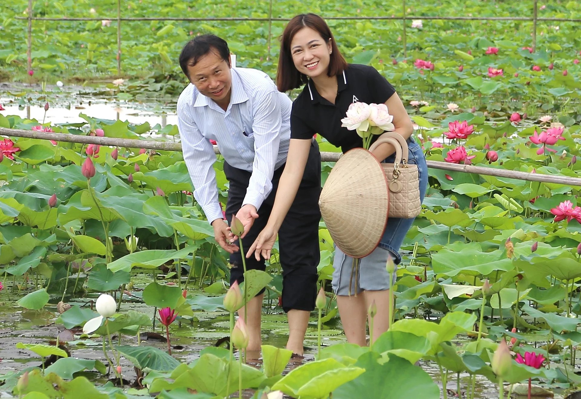 Theo PGS.TS Đặng Văn Đông (trái) thăm mô hình sản xuất giống sen mới do Viện Nghiên cứu Rau quả nghiên cứu, chọn tạo. Ảnh: Trung Quân. Theo PGS.TS Đặng Văn Đông (trái) thăm mô hình sản xuất giống sen mới do Viện Nghiên cứu Rau quả nghiên cứu, chọn tạo. Ảnh: Trung Quân.