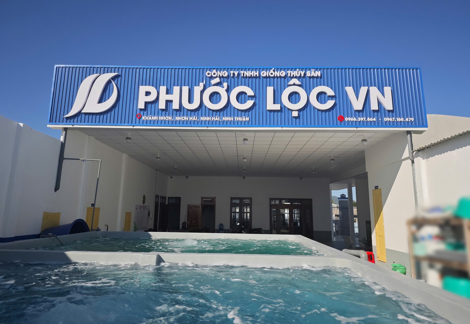 Tôm giống khỏe mạnh Phúc Lộc VN được kiểm soát chặt chẽ trước khi đưa đến tay người nuôi. Tôm giống khỏe mạnh Phúc Lộc VN được kiểm soát chặt chẽ trước khi đưa đến tay người nuôi.