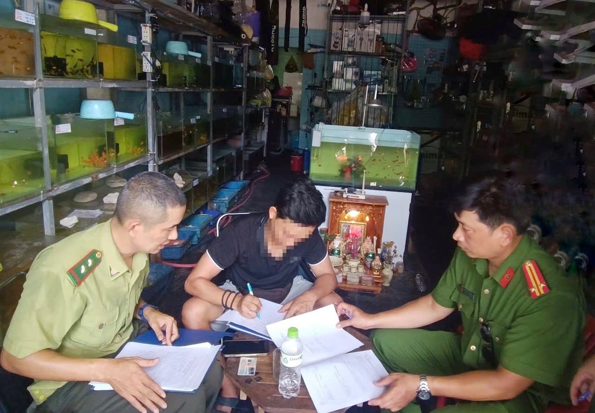 Các cơ sở kinh doanh cam kết không mua bán, nuôi nhốt các loài chim hoang dã. Ảnh: K.L Các cơ sở kinh doanh cam kết không mua bán, nuôi nhốt các loài chim hoang dã. Ảnh: K.L