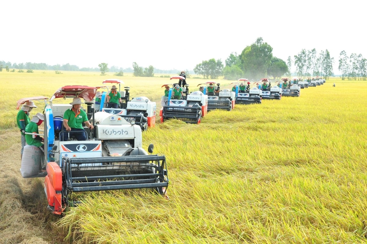 Khoa học công nghệ đã góp phần đặc biệt quan trọng tạo đột phá cho ngành nông nghiệp trong những năm qua. Ảnh: Lê Hoàng Vũ. Khoa học công nghệ đã góp phần đặc biệt quan trọng tạo đột phá cho ngành nông nghiệp trong những năm qua. Ảnh: Lê Hoàng Vũ.