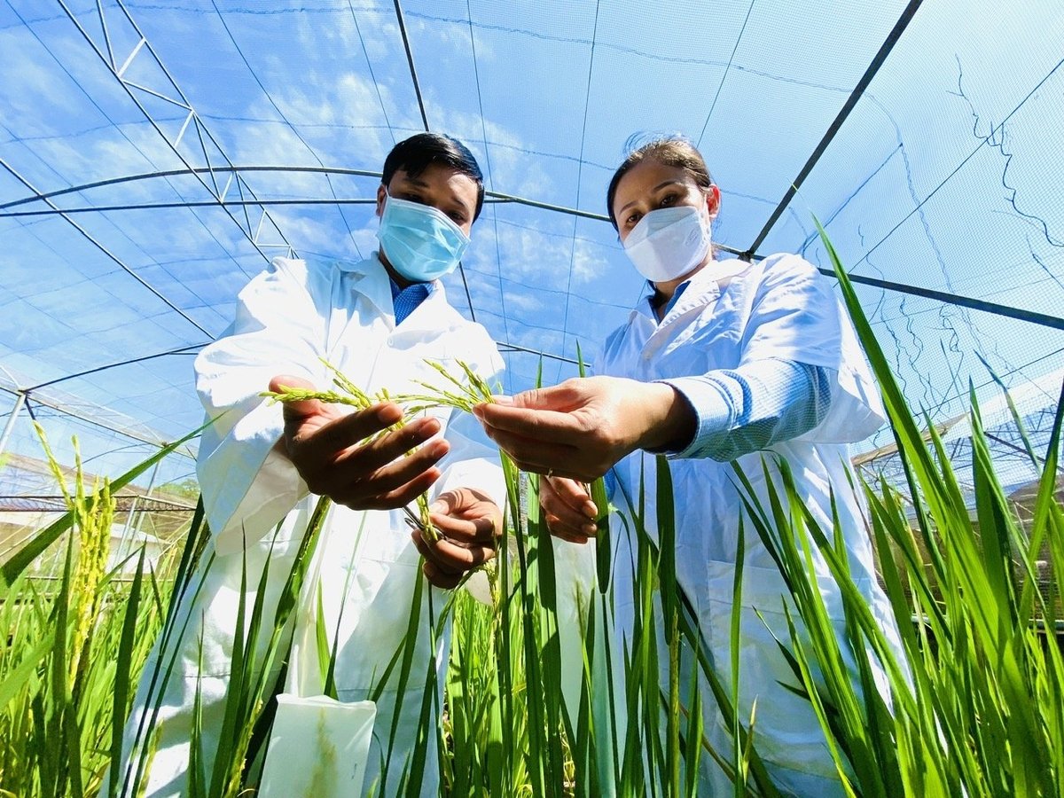 Khoa học công nghệ trong ngành nông nghiệp những năm qua đóng góp vào tăng hiệu quả kinh tế khoảng 30%. Ảnh: Lê Hoàng Vũ. Khoa học công nghệ trong ngành nông nghiệp những năm qua đóng góp vào tăng hiệu quả kinh tế khoảng 30%. Ảnh: Lê Hoàng Vũ.