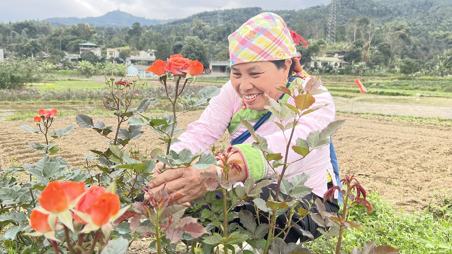 Mô hình biến đất lúa thành 'vườn tiền' của bà Nông Thị Tân, dân tộc Giáy tại tổ 12, thị trấn Bát Xát (Lào Cai). Ảnh: Bích Hợp. Mô hình biến đất lúa thành 'vườn tiền' của bà Nông Thị Tân, dân tộc Giáy tại tổ 12, thị trấn Bát Xát (Lào Cai). Ảnh: Bích Hợp.