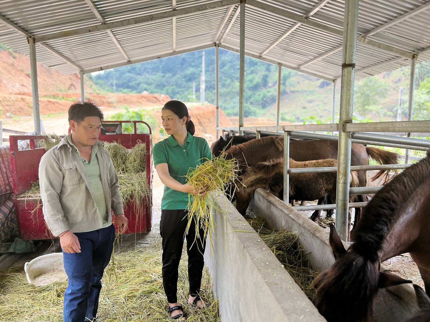 Lào Cai tăng cường phát triển những mô hình nông nghiệp hiệu quả tạo thu nhập cho người dân. Ảnh: Bích Hợp. Lào Cai tăng cường phát triển những mô hình nông nghiệp hiệu quả tạo thu nhập cho người dân. Ảnh: Bích Hợp.