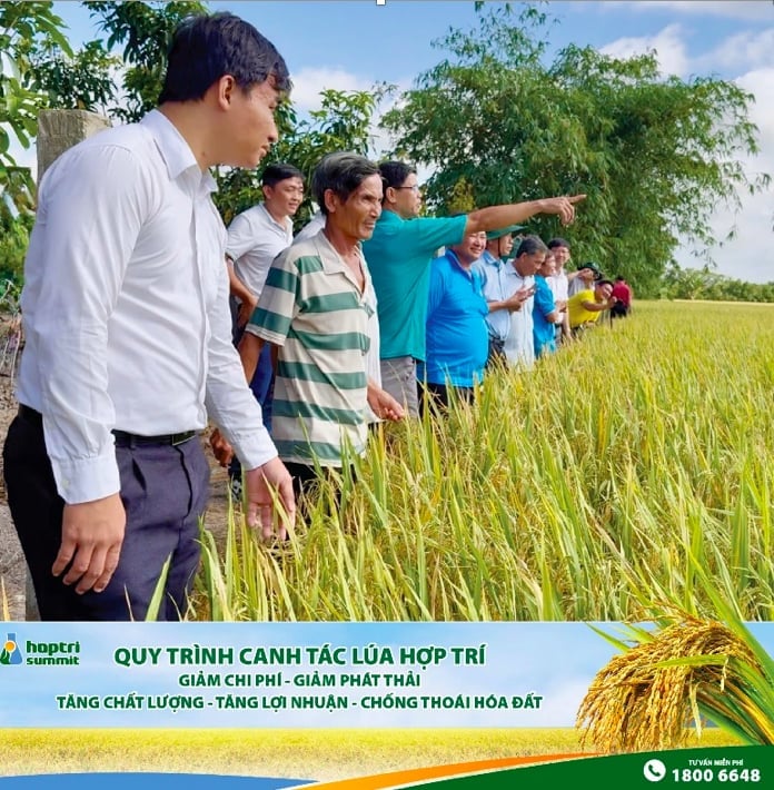 Bà con nông dân tham quan cánh đồng áp dụng theo quy trình Hợp Trí cho năng suất cao. Ảnh: Nguyễn Ngọc. Bà con nông dân tham quan cánh đồng áp dụng theo quy trình Hợp Trí cho năng suất cao. Ảnh: Nguyễn Ngọc.