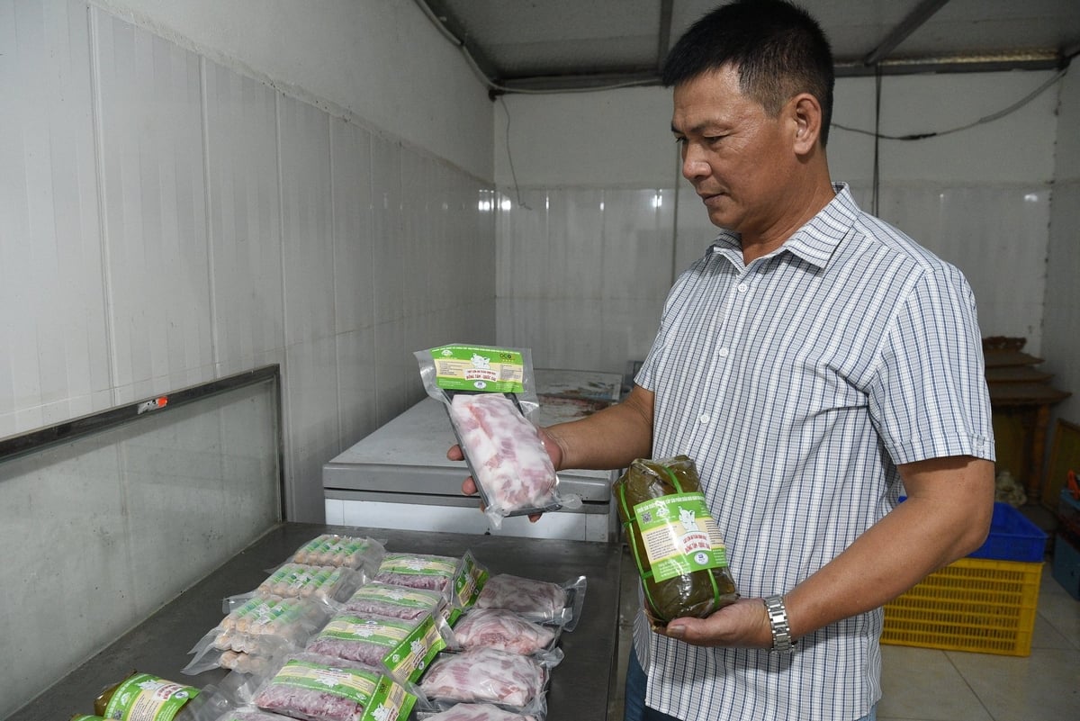 Anh Nguyễn Đình Tường - Giám đốc HTX Chăn nuôi và Dịch vụ Đồng Tâm. Ảnh: Dương Đình Tường. Anh Nguyễn Đình Tường - Giám đốc HTX Chăn nuôi và Dịch vụ Đồng Tâm. Ảnh: Dương Đình Tường.