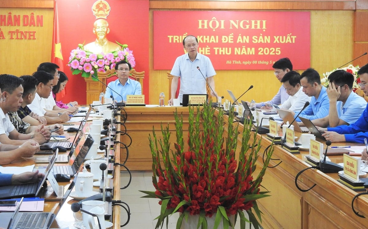 Hội nghị triển khai đề án sản xuất vụ hè thu năm 2025 của tỉnh Hà Tĩnh. Ảnh: Thanh Nga. Hội nghị triển khai đề án sản xuất vụ hè thu năm 2025 của tỉnh Hà Tĩnh. Ảnh: Thanh Nga.