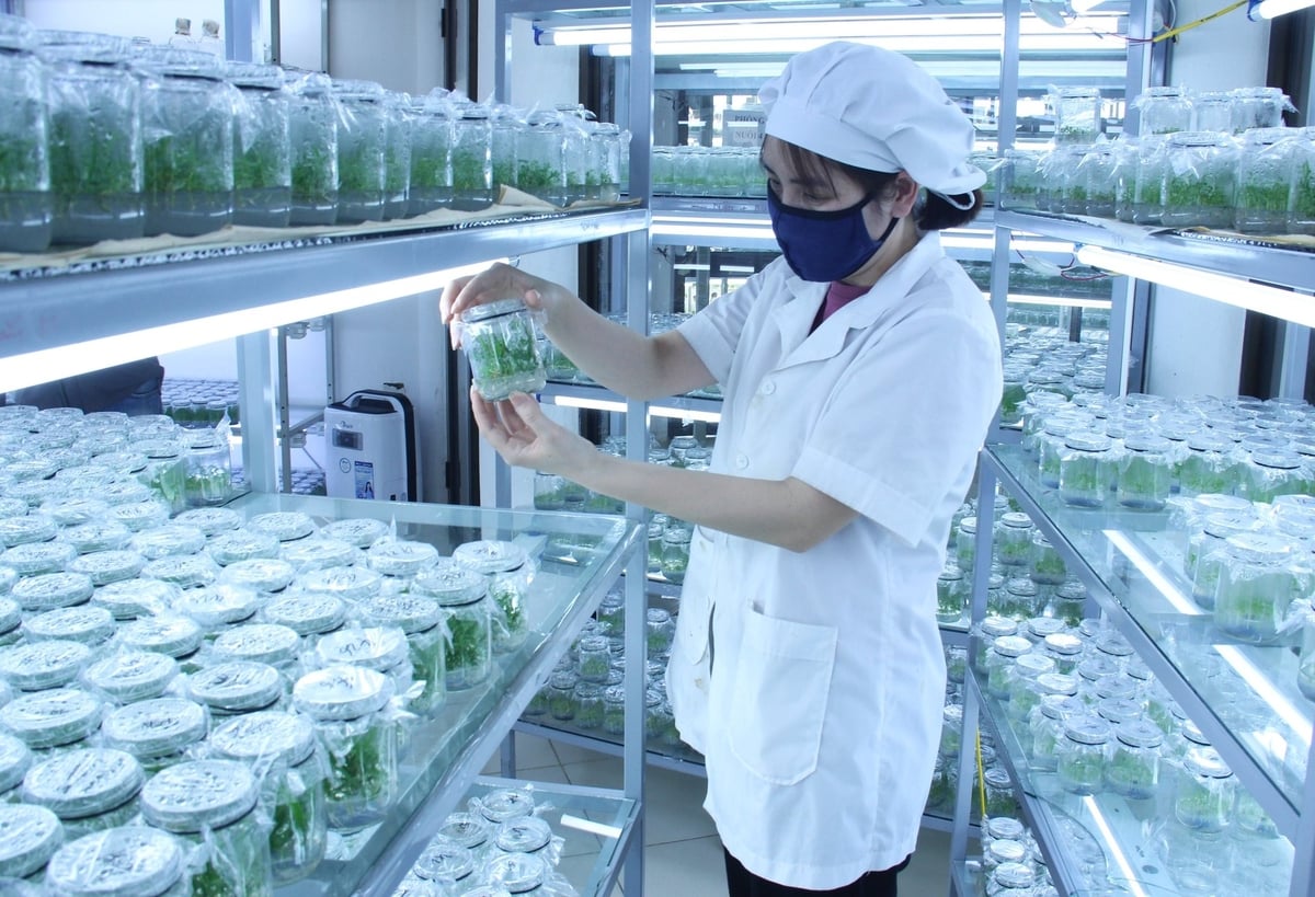 Nghị quyết số 57-NQ/TW ra đời như một luồng sinh khí mới cho sự phát triển của KHCN. Ảnh: Trung Quân. Nghị quyết số 57-NQ/TW ra đời như một luồng sinh khí mới cho sự phát triển của KHCN. Ảnh: Trung Quân.