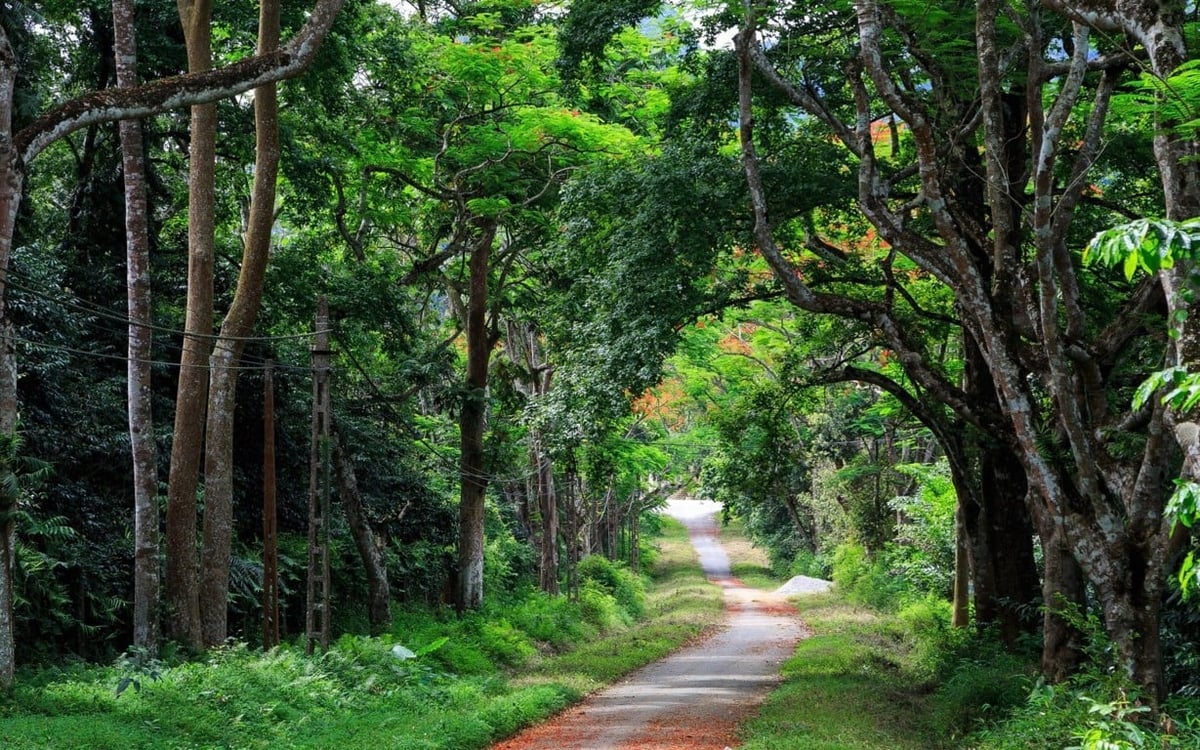 Ảnh minh họa. Ảnh minh họa.