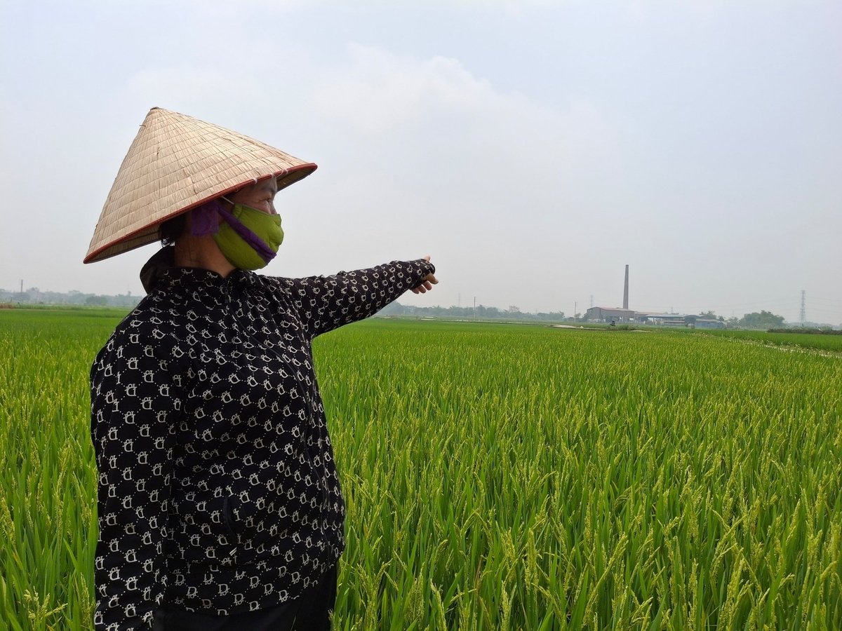 Bà Trần Thị Hoa và người dân trong khu vẫn gọi đó là 'nhà máy không rác', bởi suốt bao năm qua vẫn đổ ra đồng còn nhà máy thì khóa cửa với lý do vi phạm các quy định về môi trường. Ảnh: Hùng Khang. Bà Trần Thị Hoa và người dân trong khu vẫn gọi đó là 'nhà máy không rác', bởi suốt bao năm qua vẫn đổ ra đồng còn nhà máy thì khóa cửa với lý do vi phạm các quy định về môi trường. Ảnh: Hùng Khang.