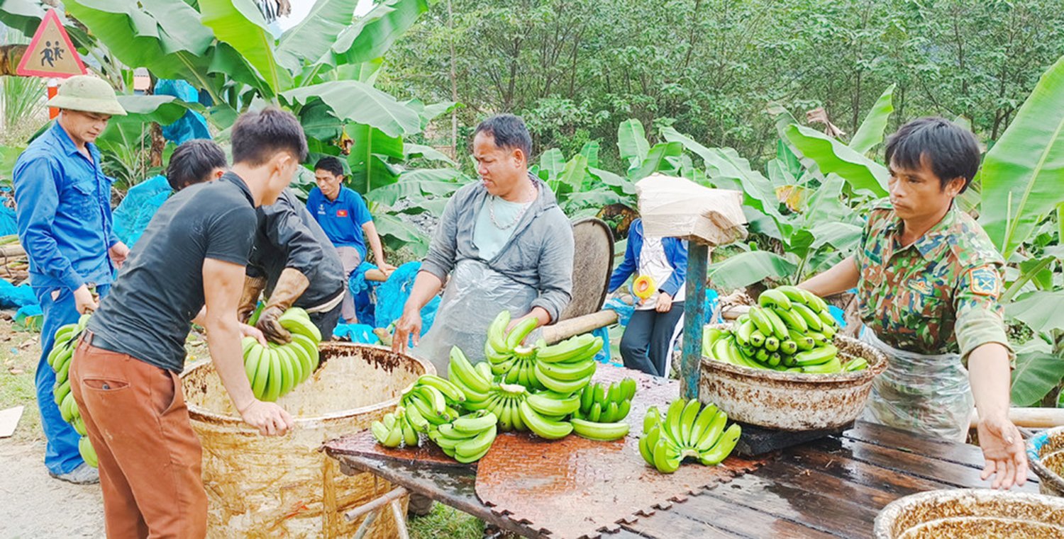 Tại Lào Cai, nhiều mô hình sản xuất nông nghiệp đã giúp người dân vươn lên thoát nghèo. Ảnh: Bích Hợp. Tại Lào Cai, nhiều mô hình sản xuất nông nghiệp đã giúp người dân vươn lên thoát nghèo. Ảnh: Bích Hợp.