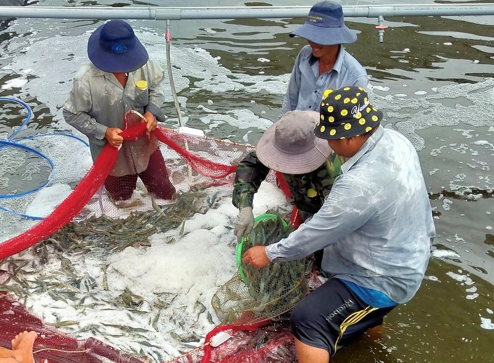 Các doanh nghiệp kiến nghị, Chính phủ sớm đàm phán với Hoa Kỳ để đảm bảo môi trường thương mại công bằng, tạo điều kiện cho doanh nghiệp Việt Nam cạnh tranh và phát triển bền vững. Ảnh: CTV. Các doanh nghiệp kiến nghị, Chính phủ sớm đàm phán với Hoa Kỳ để đảm bảo môi trường thương mại công bằng, tạo điều kiện cho doanh nghiệp Việt Nam cạnh tranh và phát triển bền vững. Ảnh: CTV.