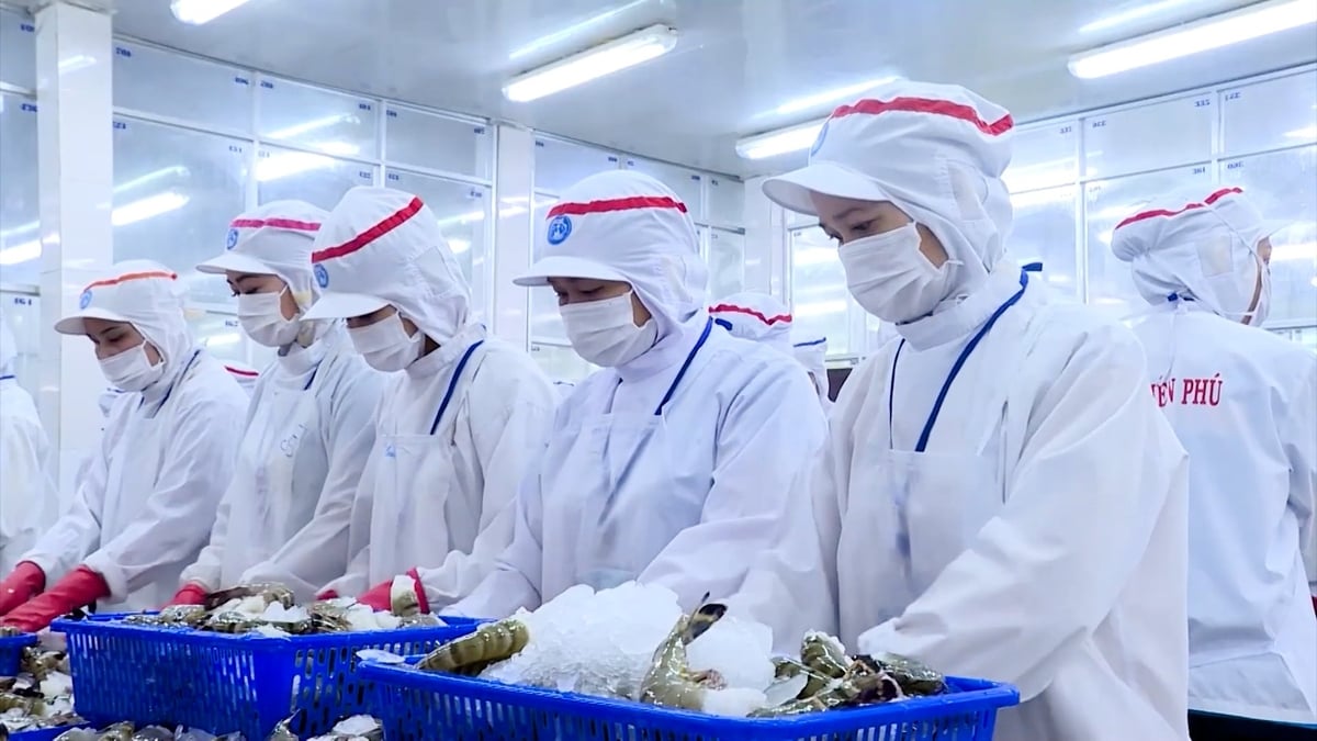 Theo kiến nghị của doanh nghiệp, Bộ Nông nghiệp và Môi trường cần sớm xây dựng các chương trình đào tạo đội ngũ doanh nhân về kỹ năng quản trị, kinh doanh số và thích ứng với môi trường thương mại toàn cầu. Ảnh: Minh Sáng. Theo kiến nghị của doanh nghiệp, Bộ Nông nghiệp và Môi trường cần sớm xây dựng các chương trình đào tạo đội ngũ doanh nhân về kỹ năng quản trị, kinh doanh số và thích ứng với môi trường thương mại toàn cầu. Ảnh: Minh Sáng.
