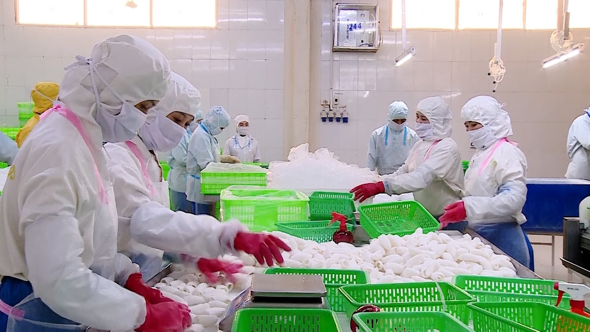 Thông tin về khả năng áp thuế đối ứng 46% khiến các doanh nghiệp xuất khẩu thủy sản Việt Nam rất lo ngại. Ảnh: Minh Sáng. Thông tin về khả năng áp thuế đối ứng 46% khiến các doanh nghiệp xuất khẩu thủy sản Việt Nam rất lo ngại. Ảnh: Minh Sáng.