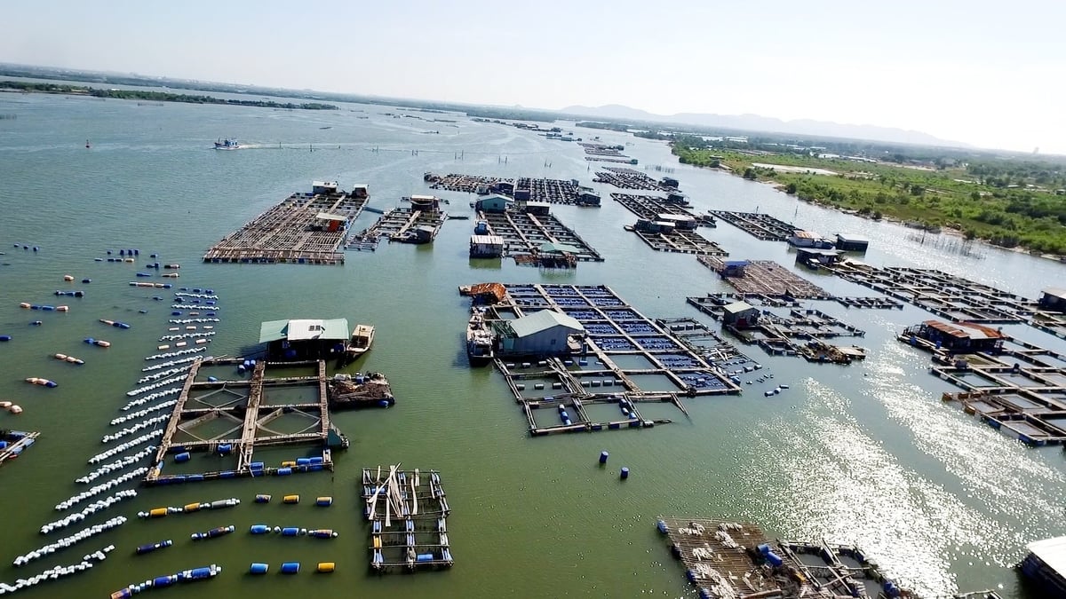 Hoạt động xuất khẩu vẫn chưa đồng đều giữa các sản phẩm và thị trường, trong khi những bất ổn thuế quan từ phía Hoa Kỳ vẫn tiếp tục gây áp lực lớn cho các doanh nghiệp trong nước. Ảnh: Minh Sáng. Hoạt động xuất khẩu vẫn chưa đồng đều giữa các sản phẩm và thị trường, trong khi những bất ổn thuế quan từ phía Hoa Kỳ vẫn tiếp tục gây áp lực lớn cho các doanh nghiệp trong nước. Ảnh: Minh Sáng.
