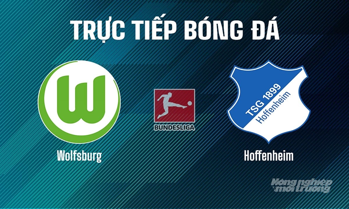 Trực tiếp bóng đá Bundesliga 2024/25 giữa Wolfsburg vs Hoffenheim ngày 10/5/2025 Trực tiếp bóng đá Bundesliga 2024/25 giữa Wolfsburg vs Hoffenheim ngày 10/5/2025