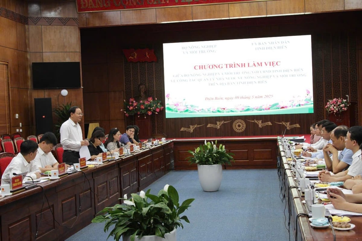 Quang cảnh hội nghị. Ảnh: Trần Hương. Quang cảnh hội nghị. Ảnh: Trần Hương.