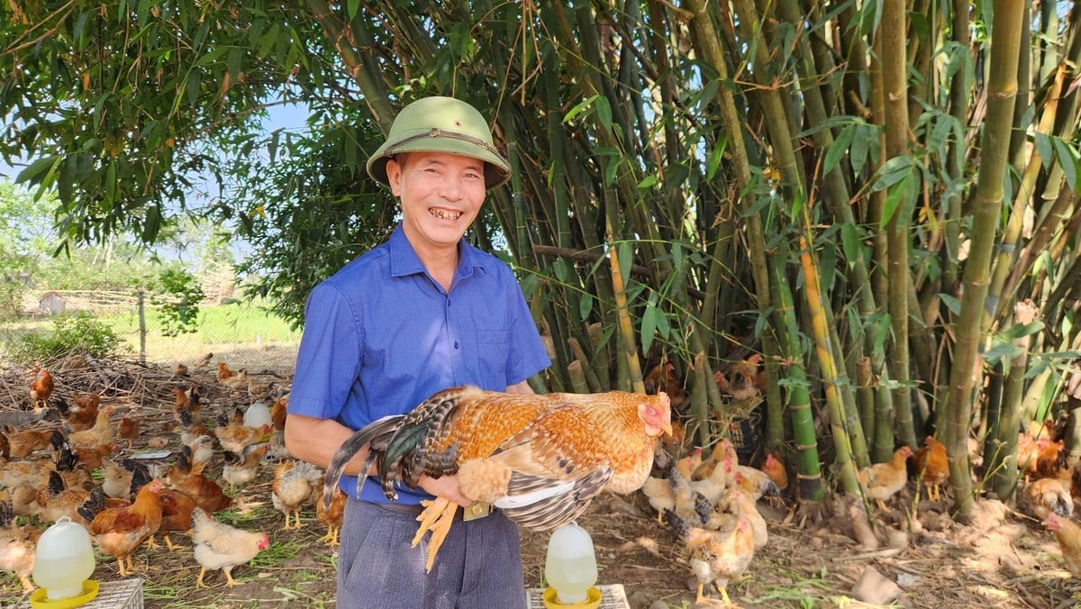 Gà Tiên Yên là một trong những sản phẩm OCOP chủ lực của Quảng Ninh. Ảnh: Nguyễn Thành. Gà Tiên Yên là một trong những sản phẩm OCOP chủ lực của Quảng Ninh. Ảnh: Nguyễn Thành.