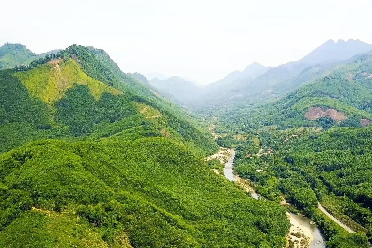 Năm 2025, trên địa bàn tỉnh Quảng Ngãi có hơn 159.000 ha nằm trong vùng trọng điểm có nguy cơ xảy ra cháy rừng cao. Ảnh: Văn Hà. Năm 2025, trên địa bàn tỉnh Quảng Ngãi có hơn 159.000 ha nằm trong vùng trọng điểm có nguy cơ xảy ra cháy rừng cao. Ảnh: Văn Hà.