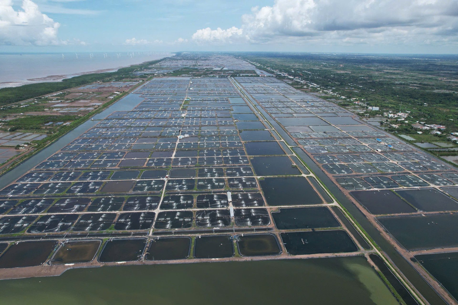 Nhiều ý kiến cho rằng cần khuyến khích các doanh nghiệp ứng dụng và phát triển nông nghiệp công nghệ cao, miễn giảm một số loại thuế, phí... Ảnh: Hồng Thắm. Nhiều ý kiến cho rằng cần khuyến khích các doanh nghiệp ứng dụng và phát triển nông nghiệp công nghệ cao, miễn giảm một số loại thuế, phí... Ảnh: Hồng Thắm.