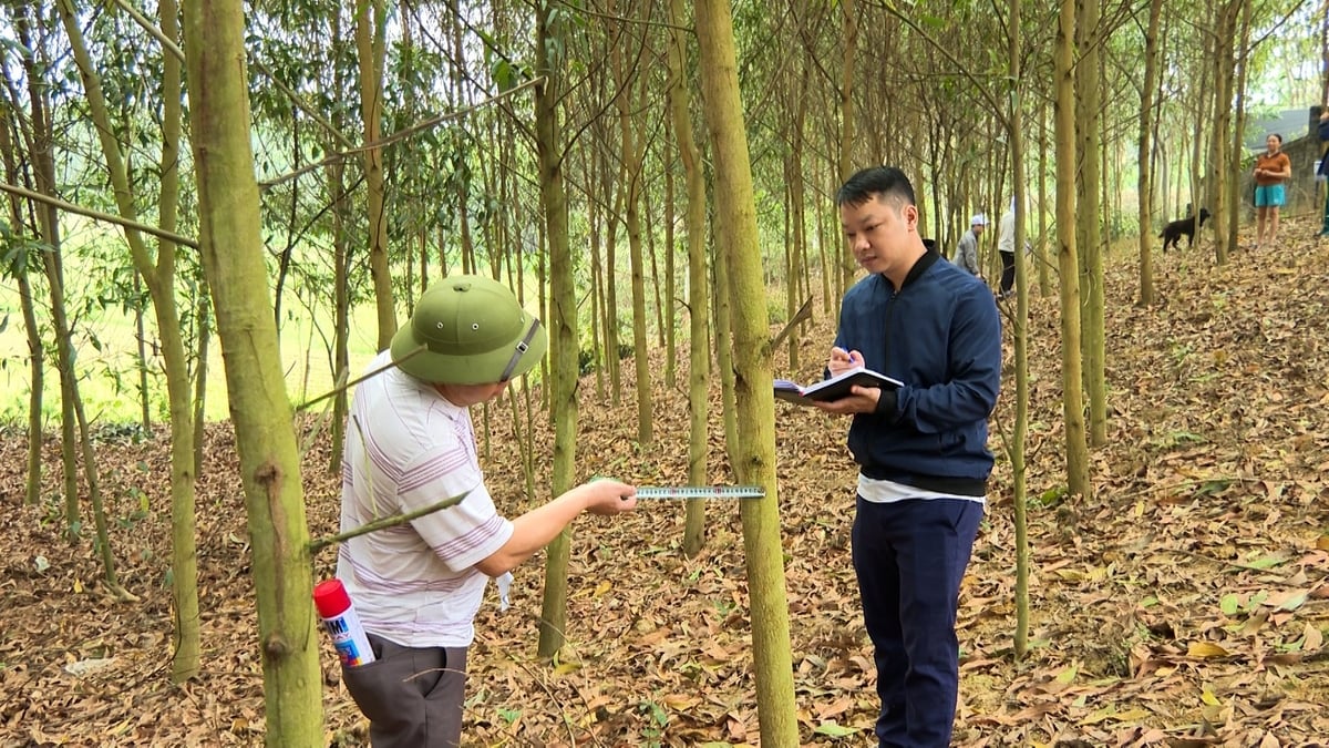 Kiểm đếm tài sản trên đất phục vụ giải phóng mặt bằng cao tốc Chợ Mới - Bắc Kạn. Ảnh: Ngọc Tú. Kiểm đếm tài sản trên đất phục vụ giải phóng mặt bằng cao tốc Chợ Mới - Bắc Kạn. Ảnh: Ngọc Tú.