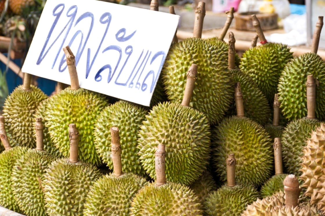 Sản lượng sầu riêng Thái Lan đạt gần 1,7 triệu tấn trong năm nay. Ảnh minh họa. Sản lượng sầu riêng Thái Lan đạt gần 1,7 triệu tấn trong năm nay. Ảnh minh họa.