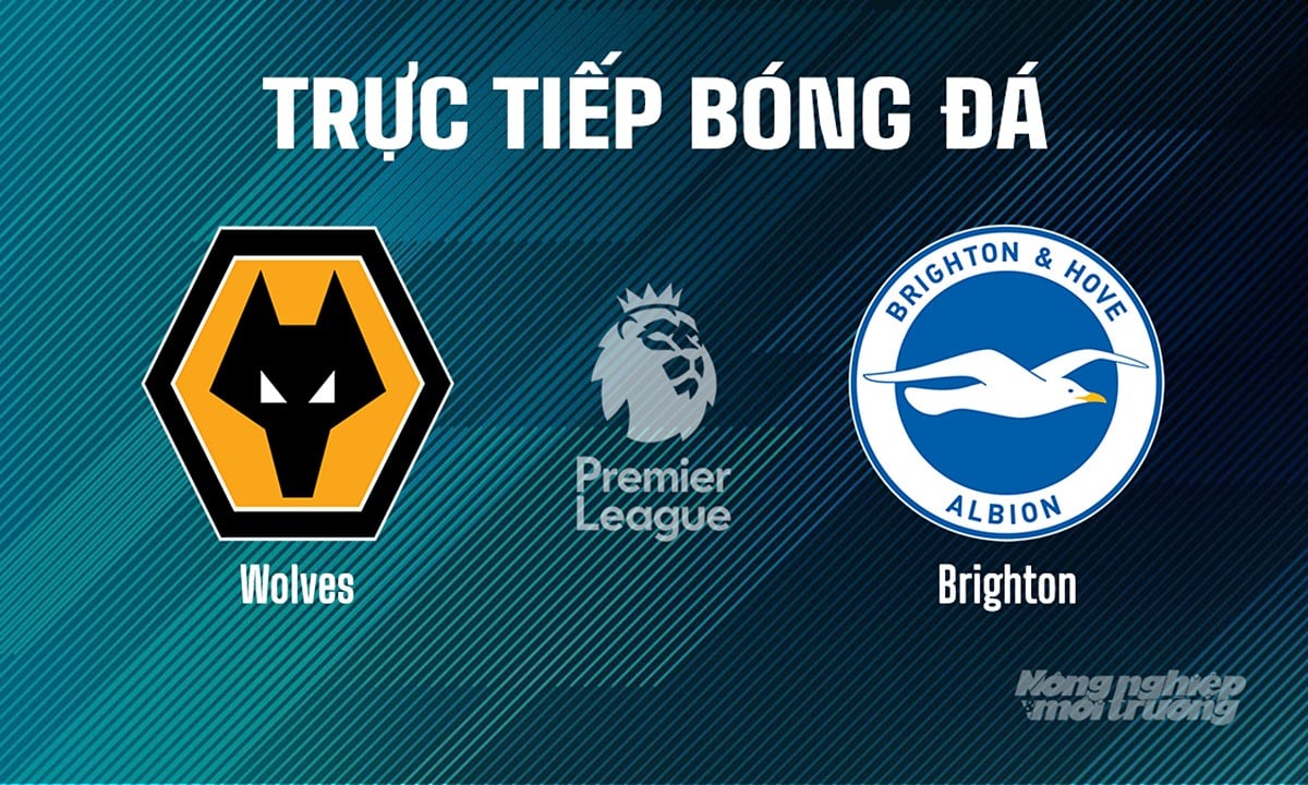 Trực tiếp bóng đá Ngoại hạng Anh giữa Wolves vs Brighton hôm nay 10/5/2025