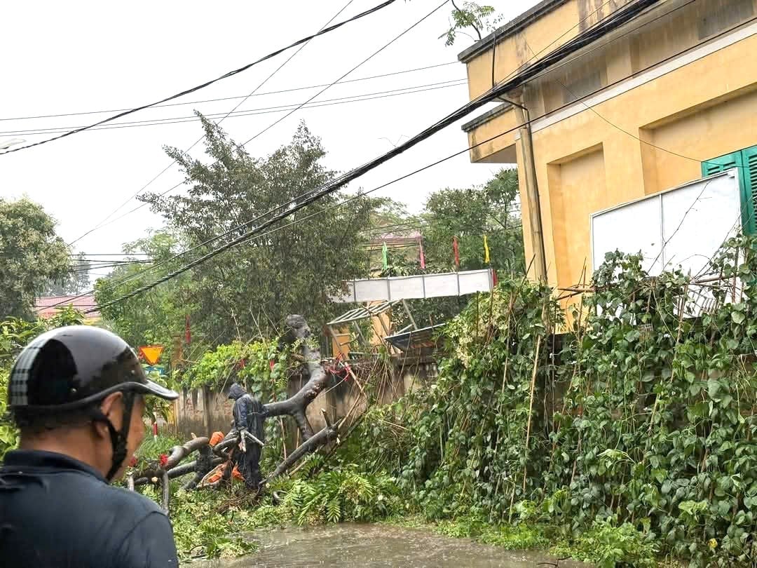 Nhiều cây xanh trên địa bàn thành phố Tuyên Quang bị đổ gẫy do mưa lớn kèm gió lốc. Ảnh: ND. Nhiều cây xanh trên địa bàn thành phố Tuyên Quang bị đổ gẫy do mưa lớn kèm gió lốc. Ảnh: ND.