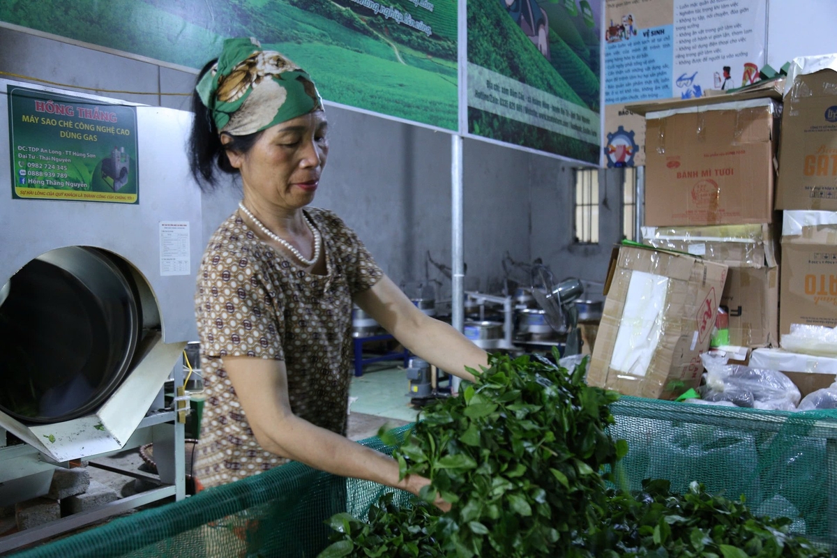 Thanh Tiến. Thanh Tiến.