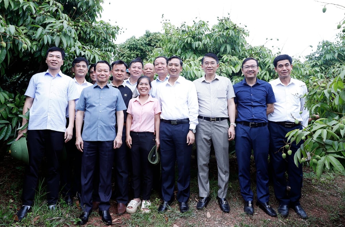 Bộ trưởng Đỗ Đức Duy và Chủ tịch UBND tỉnh Nguyễn Việt Oanh chụp ảnh lưu niệm với người dân vườn vải tại xã Phúc Hòa, Tân Yên. Ảnh Khương Trung. Bộ trưởng Đỗ Đức Duy và Chủ tịch UBND tỉnh Nguyễn Việt Oanh chụp ảnh lưu niệm với người dân vườn vải tại xã Phúc Hòa, Tân Yên. Ảnh Khương Trung.