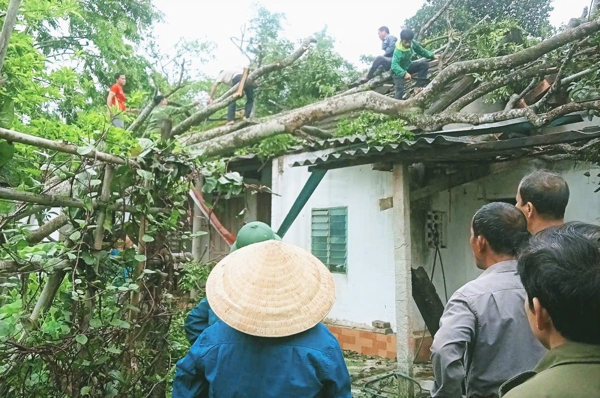 Cây cổ thụ đổ đè sập một phần nhà dân ở huyện Hương Sơn. Ảnh: Thanh Nga. Cây cổ thụ đổ đè sập một phần nhà dân ở huyện Hương Sơn. Ảnh: Thanh Nga.