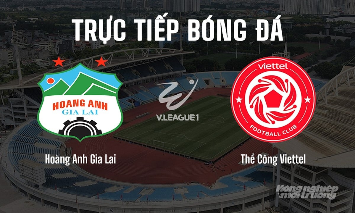Trực tiếp bóng đá V-League 2024/25 giữa Hoàng Anh Gia Lai vs Viettel hôm nay 11/5/2025 Trực tiếp bóng đá V-League 2024/25 giữa Hoàng Anh Gia Lai vs Viettel hôm nay 11/5/2025
