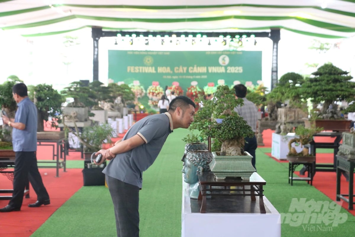 Những năm gần đây, ngành hoa, cây cảnh Việt Nam đã có bước phát triển ấn tượng, trở thành một trong những ngành kinh tế có tiềm năng lớn. Ảnh: Hưng Giang. Những năm gần đây, ngành hoa, cây cảnh Việt Nam đã có bước phát triển ấn tượng, trở thành một trong những ngành kinh tế có tiềm năng lớn. Ảnh: Hưng Giang.