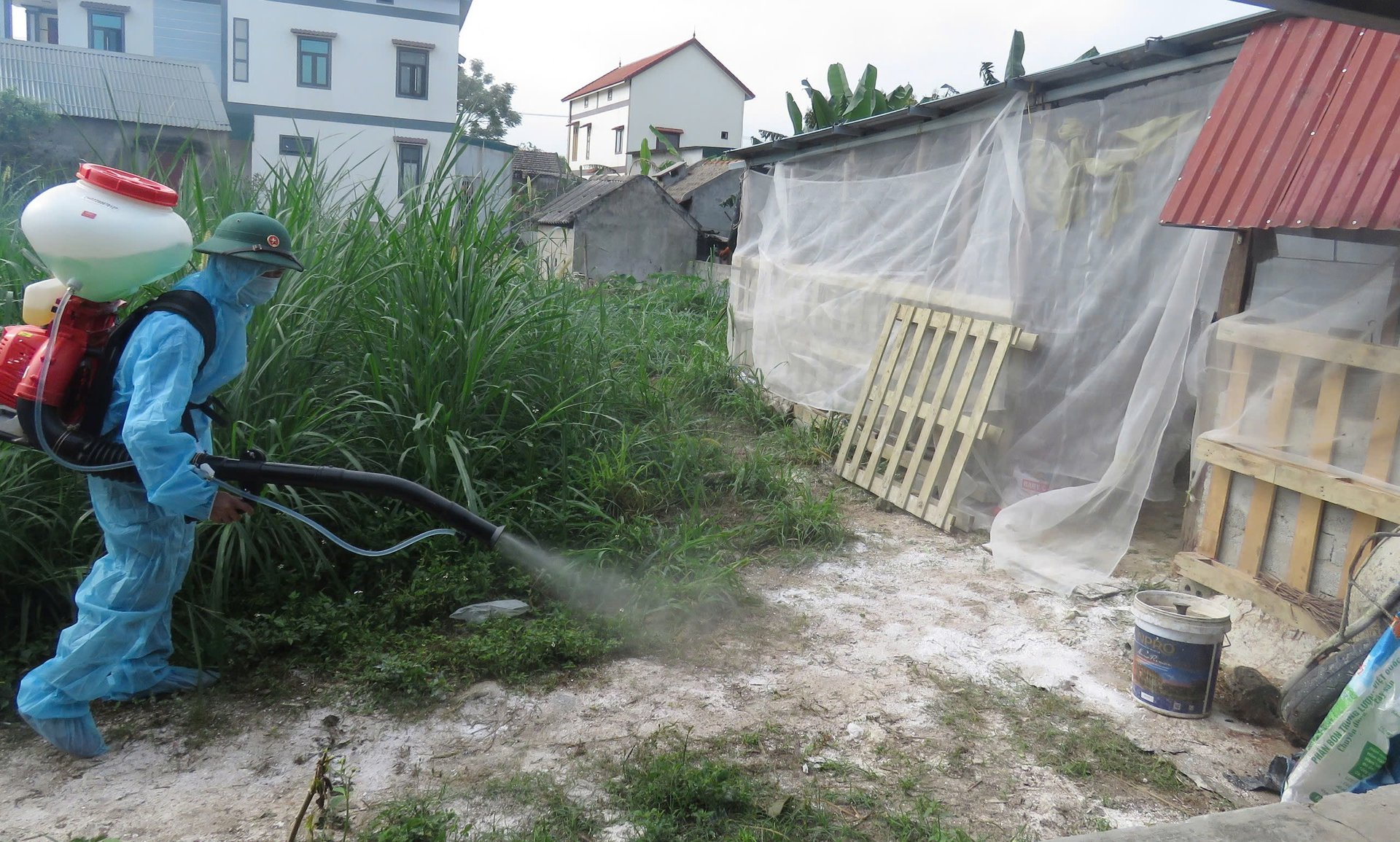 Lực lượng thú y của Chi cục Chăn nuôi và Thú y Quảng Bình hỗ trợ người dân phòng chống dịch bệnh tả lợn Châu Phi tại huyện Quảng Trạch. Ảnh: T. Phùng. Lực lượng thú y của Chi cục Chăn nuôi và Thú y Quảng Bình hỗ trợ người dân phòng chống dịch bệnh tả lợn Châu Phi tại huyện Quảng Trạch. Ảnh: T. Phùng.