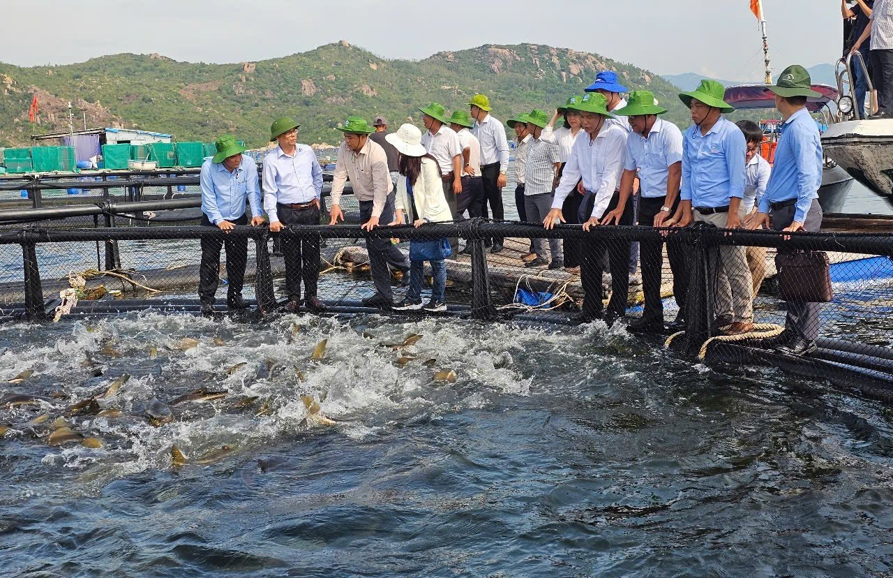 Lãnh đạo Bộ Nông nghiệp và Môi trường tham quan mô hình thí điểm nuôi biển công nghệ cao ở tỉnh Khánh Hòa. Ảnh: KS. Lãnh đạo Bộ Nông nghiệp và Môi trường tham quan mô hình thí điểm nuôi biển công nghệ cao ở tỉnh Khánh Hòa. Ảnh: KS.
