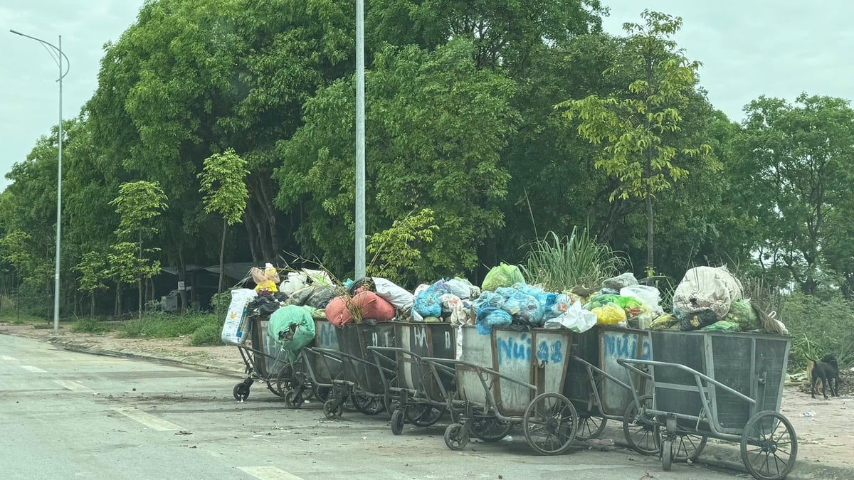 Rác thải ùn ứ ở nhiều tuyến đường của TP Thanh Hóa. Ảnh: Thanh Tâm Rác thải ùn ứ ở nhiều tuyến đường của TP Thanh Hóa. Ảnh: Thanh Tâm