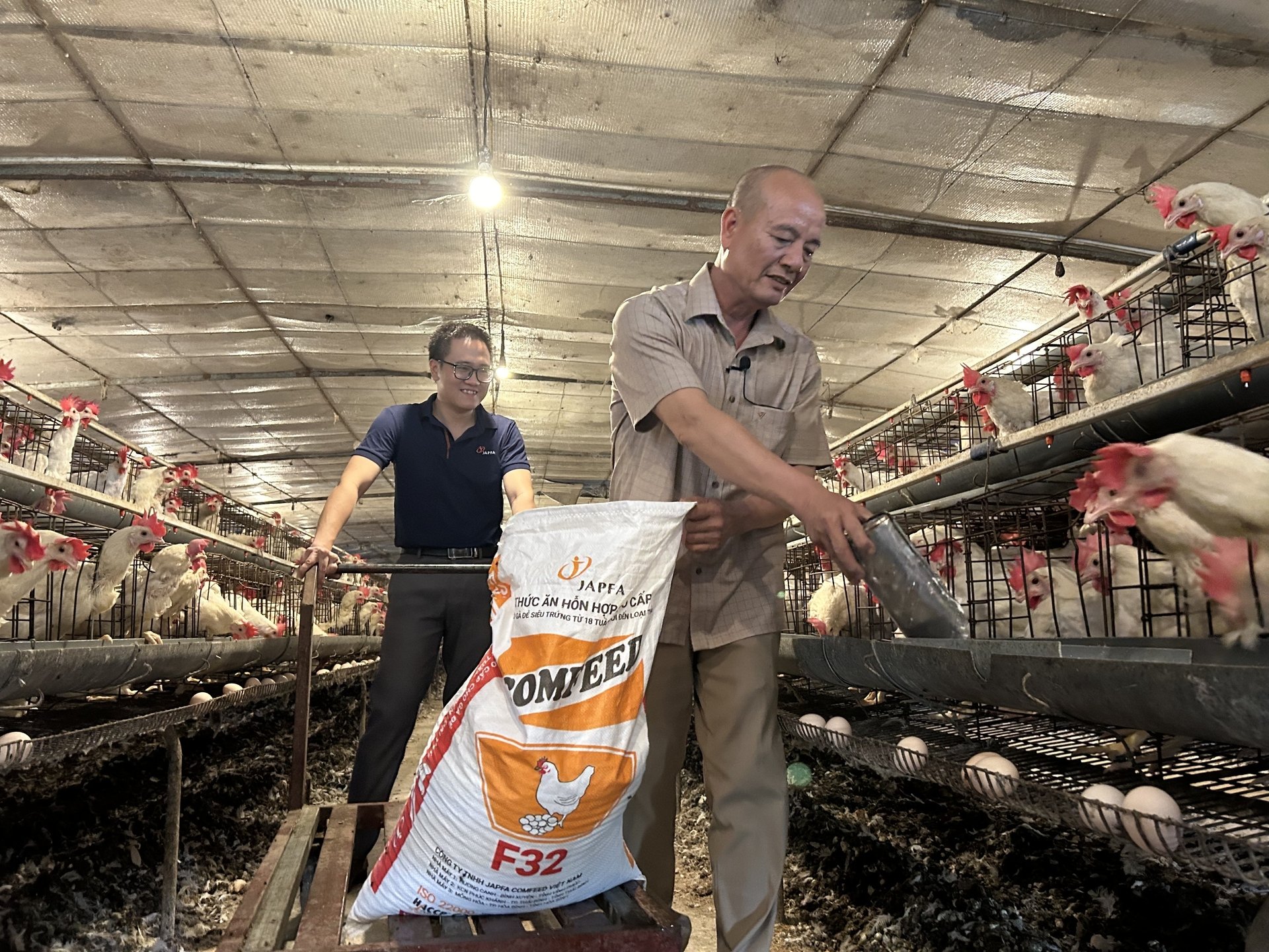 Anh Nguyễn Xuân Long cùng nhân viên kỹ thuật Công ty Japfa Comfeed Việt Nam kiểm tra khu vực chuồng nuôi gà đẻ trứng thương phẩm. Anh Nguyễn Xuân Long cùng nhân viên kỹ thuật Công ty Japfa Comfeed Việt Nam kiểm tra khu vực chuồng nuôi gà đẻ trứng thương phẩm.