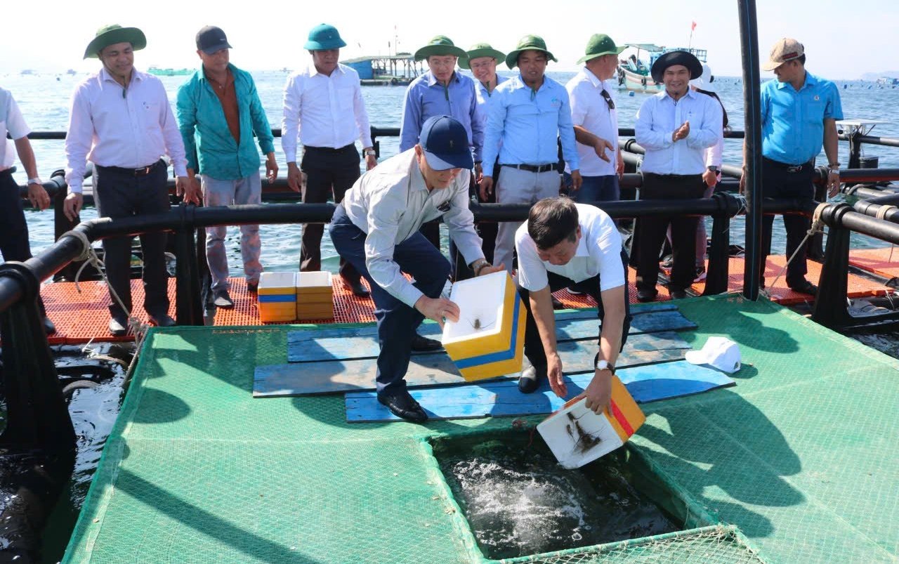 Tỉnh Khánh Hòa triển khai nuôi biển vùng biển hở Cam Lập, TP Cam Ranh. Ảnh: KS. Tỉnh Khánh Hòa triển khai nuôi biển vùng biển hở Cam Lập, TP Cam Ranh. Ảnh: KS.