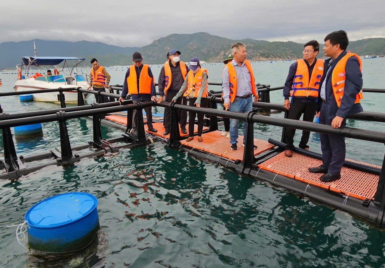 Cụm lồng vuông HDPE nuôi tôm hùm ở vùng biển hở thuộc xã Cam Lập, TP Cam Ranh. Ảnh: KS. Cụm lồng vuông HDPE nuôi tôm hùm ở vùng biển hở thuộc xã Cam Lập, TP Cam Ranh. Ảnh: KS.