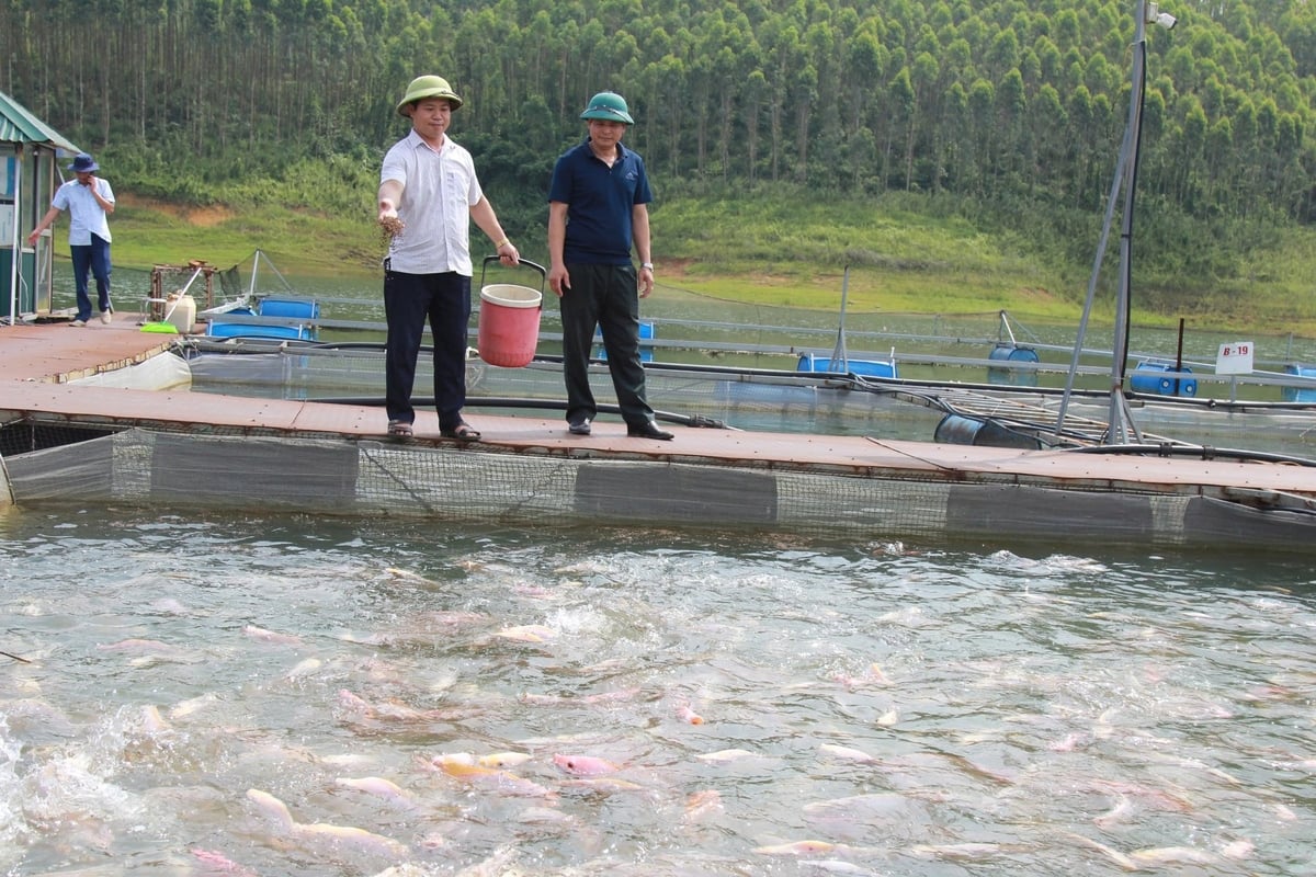 Tận dụng lợi thế mặt nước hồ Thác Bà, huyện Yên Bình khuyến khích người dân nuôi trồng thủy sản. Ảnh: Thanh Tiến. Tận dụng lợi thế mặt nước hồ Thác Bà, huyện Yên Bình khuyến khích người dân nuôi trồng thủy sản. Ảnh: Thanh Tiến.