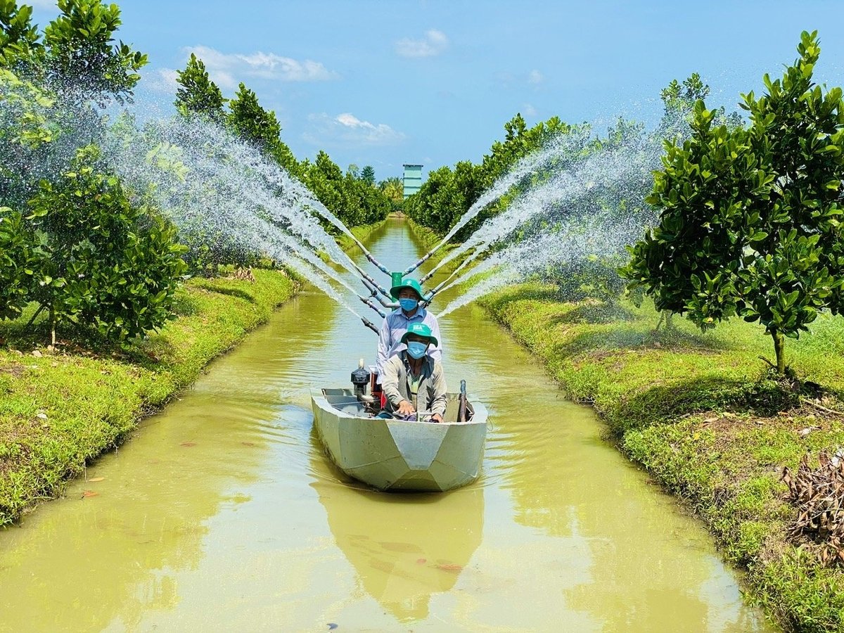 Những cơn mưa xuất hiện góp phần làm giảm mức độ xâm nhập mặn so với dự báo trước đó, người dân An Giang rất yên tâm sản xuất. Ảnh: Lê Hoàng Vũ. Những cơn mưa xuất hiện góp phần làm giảm mức độ xâm nhập mặn so với dự báo trước đó, người dân An Giang rất yên tâm sản xuất. Ảnh: Lê Hoàng Vũ.