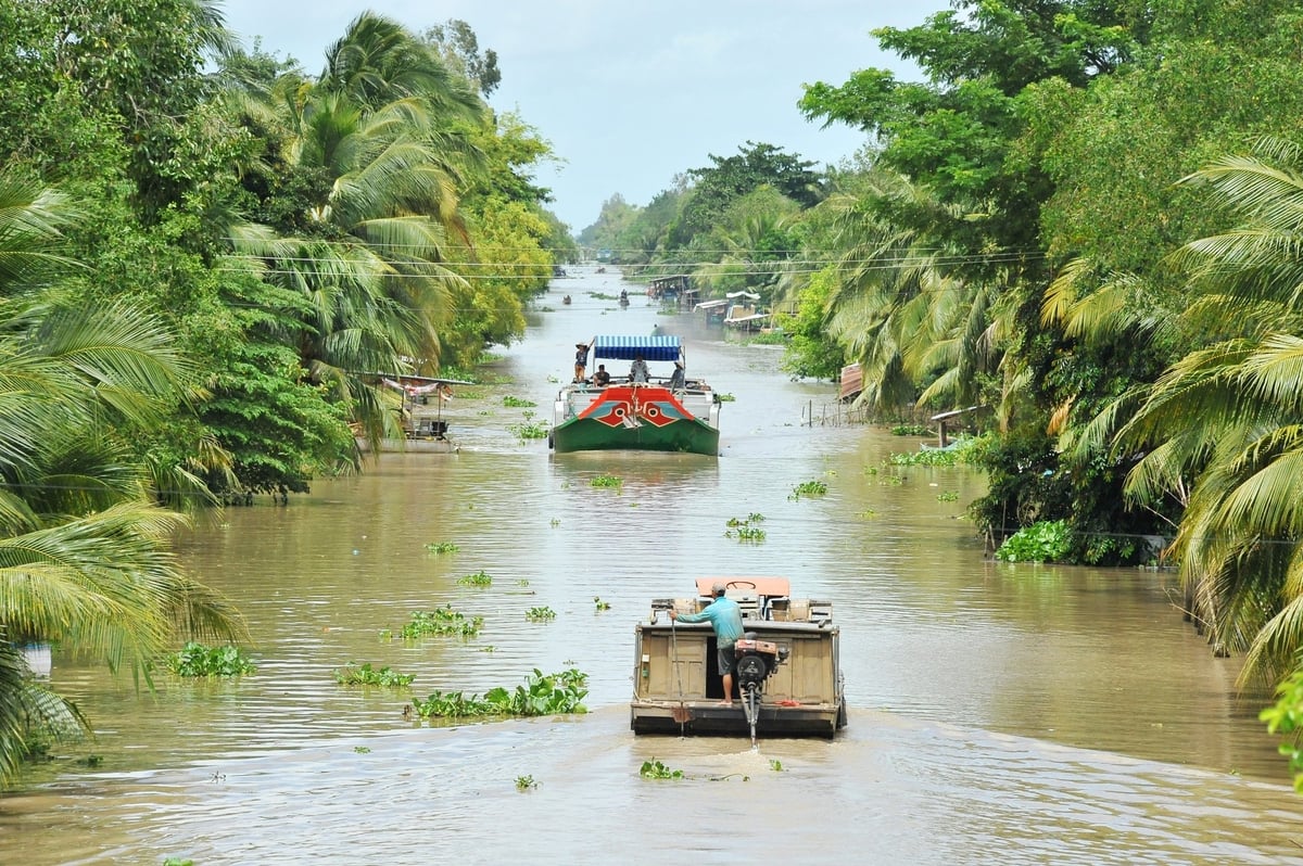 Việc tích nước và vận hành linh hoạt các công trình thủy lợi là điều kiện tiên quyết để đảm bảo an toàn cho mùa vụ. Ảnh: Lê Hoàng Vũ. Việc tích nước và vận hành linh hoạt các công trình thủy lợi là điều kiện tiên quyết để đảm bảo an toàn cho mùa vụ. Ảnh: Lê Hoàng Vũ.