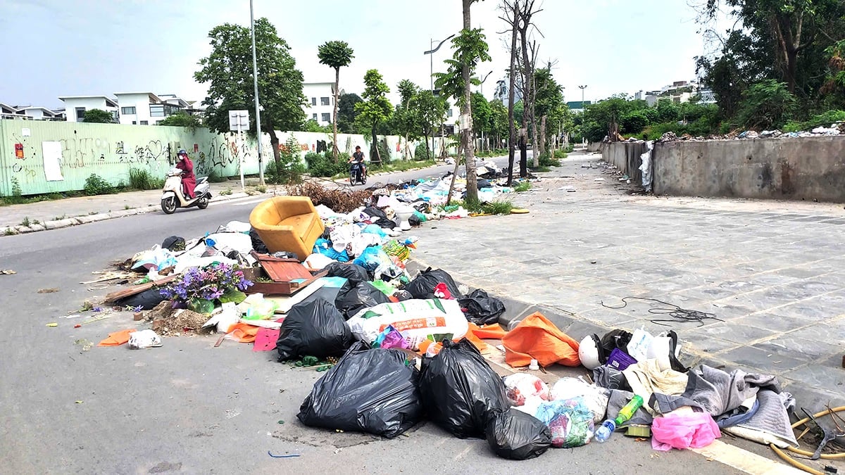 Rác thải sinh hoạt vứt tràn lan dưới lòng đường. Rác thải sinh hoạt vứt tràn lan dưới lòng đường.
