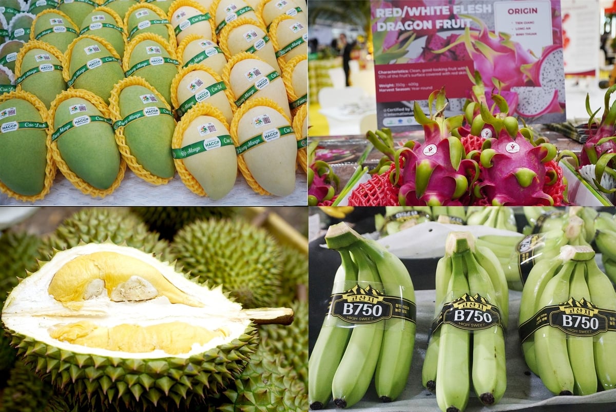 Việt Nam có nhiều mặt hàng lợi thế để xuất khẩu vào thị trường Trung Đông. Ảnh: Nguyễn Thủy. Việt Nam có nhiều mặt hàng lợi thế để xuất khẩu vào thị trường Trung Đông. Ảnh: Nguyễn Thủy.