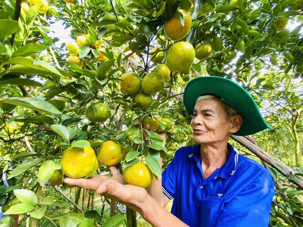 Nông dân ứng dụng khoa học công nghệ vào sản xuất nông nghiệp, góp phần vào công cuộc xây dựng nông thôn mới cho địa phương. Ảnh: Lê Hoàng Vũ. Nông dân ứng dụng khoa học công nghệ vào sản xuất nông nghiệp, góp phần vào công cuộc xây dựng nông thôn mới cho địa phương. Ảnh: Lê Hoàng Vũ.