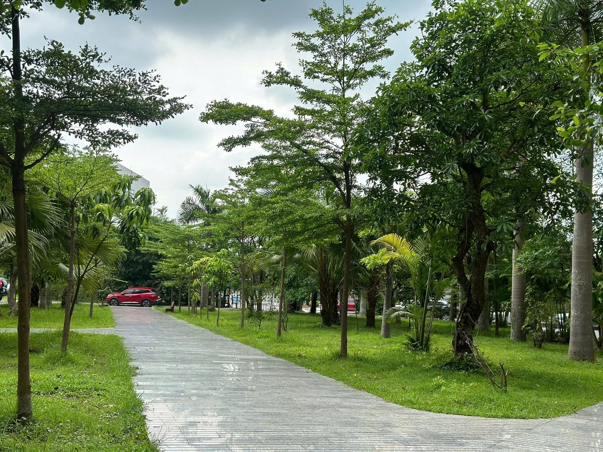 Không gian xanh tại các khu nhà ở xã hội sẽ nâng cao đời sống vật chất, tinh thần cho người dân. Ảnh: Thanh Nga. Không gian xanh tại các khu nhà ở xã hội sẽ nâng cao đời sống vật chất, tinh thần cho người dân. Ảnh: Thanh Nga.