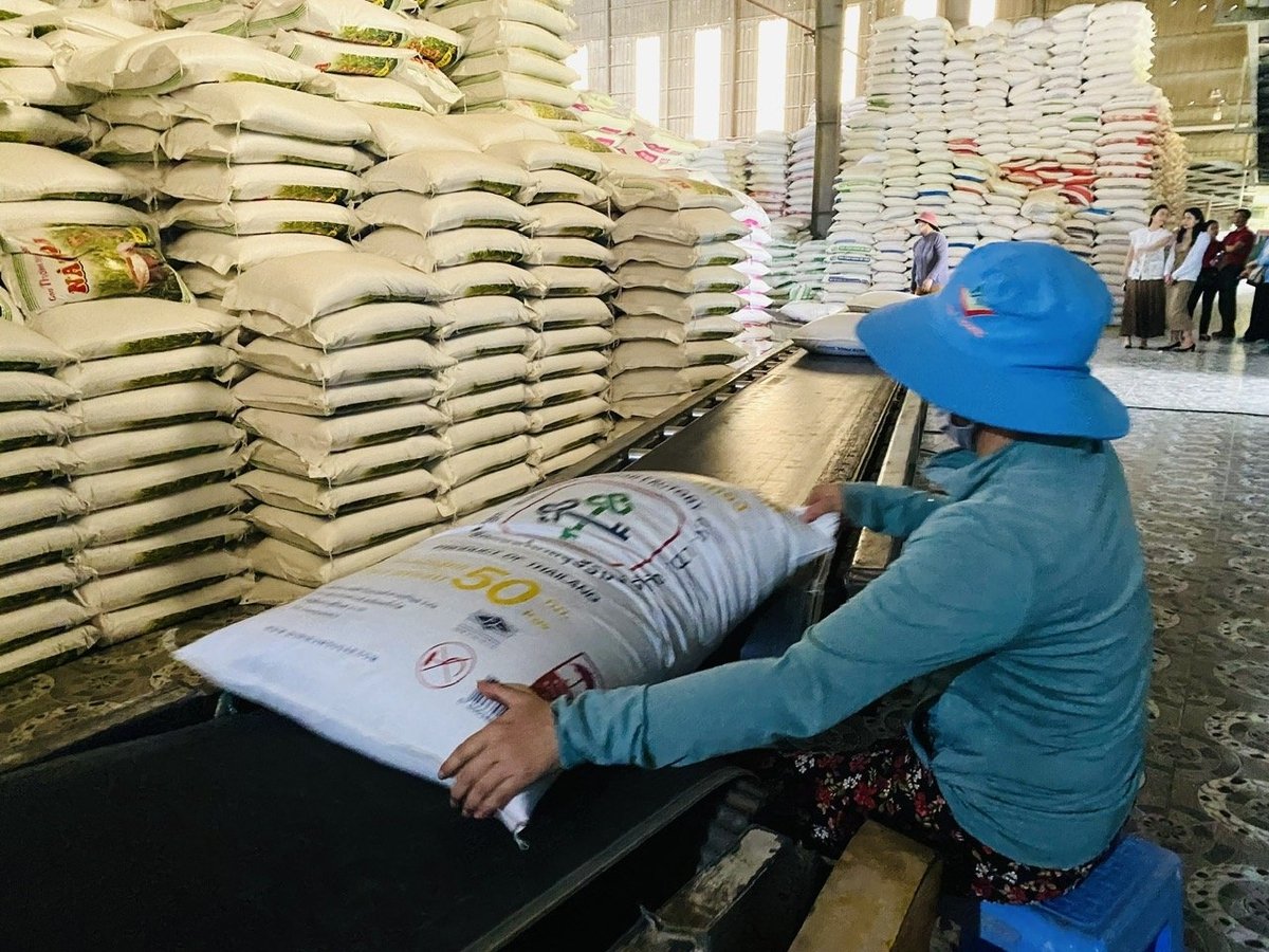HTX và doanh nghiệp cần chủ động hơn, hợp tác theo hướng cùng chia sẻ rủi ro và lợi ích lâu dài. Ảnh: Lê Hoàng Vũ. HTX và doanh nghiệp cần chủ động hơn, hợp tác theo hướng cùng chia sẻ rủi ro và lợi ích lâu dài. Ảnh: Lê Hoàng Vũ.