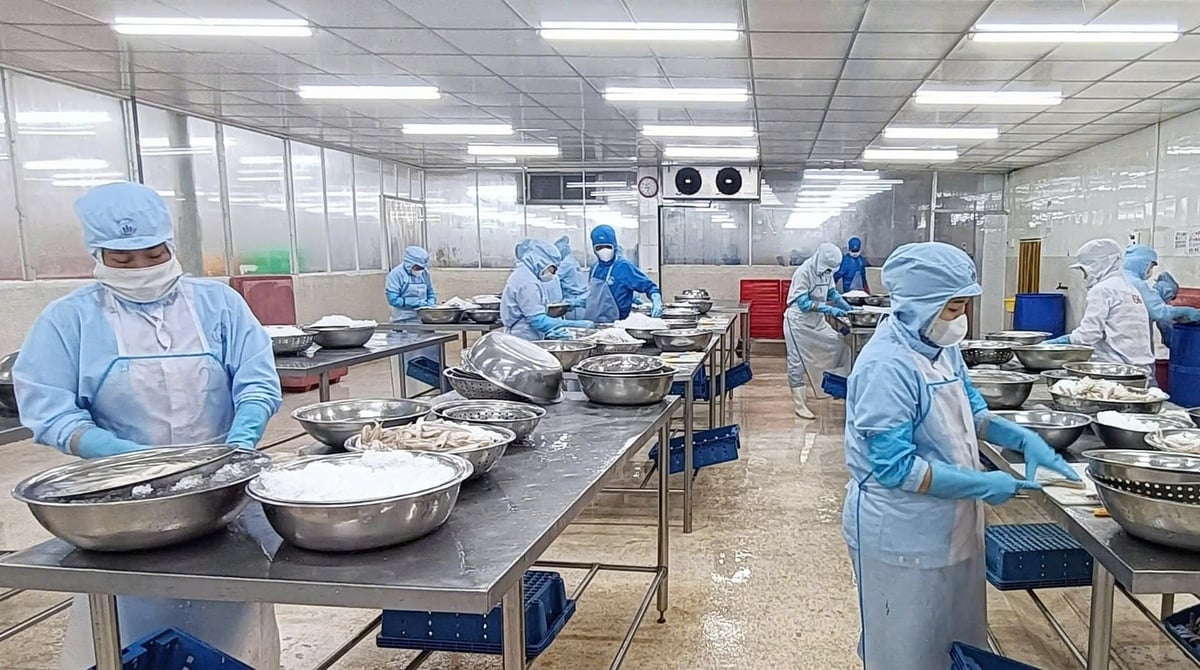 Các doanh nghiệp thủy sản Việt Nam buộc phải thích nghi với những quy định nếu muốn xuất khẩu thủy sản tại các thị trường lớn. Ảnh: Lê Bình. Các doanh nghiệp thủy sản Việt Nam buộc phải thích nghi với những quy định nếu muốn xuất khẩu thủy sản tại các thị trường lớn. Ảnh: Lê Bình.