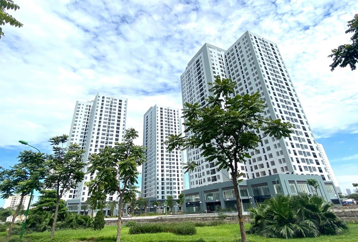 Dự án khu nhà ở thương mại phục vụ tái định cư X2 - Đại Kim đã để không suốt 5 năm qua. Ảnh: PT. Dự án khu nhà ở thương mại phục vụ tái định cư X2 - Đại Kim đã để không suốt 5 năm qua. Ảnh: PT.